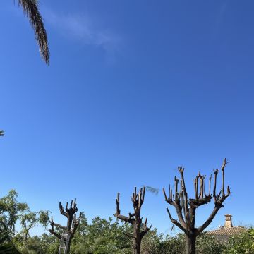I&J Garden Service - Loulé - Limpeza de Terrenos