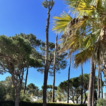 I&J Garden Service - Loulé - Estufas
