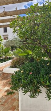 Jardinagem e Relvados