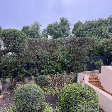I&J Garden Service - Loulé - Manutenção de Sistema de Rega Gota a Gota