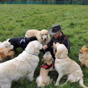 The Canine Behaviourist - Viseu - Éducation canine - cours