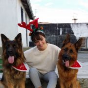 Joana Almeida - Vila Nova de Famalicão - Hotel para Cães