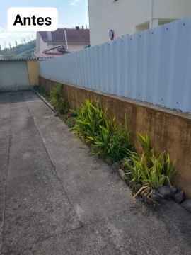 Alberth Porto - São Pedro do Sul - Baumpflege