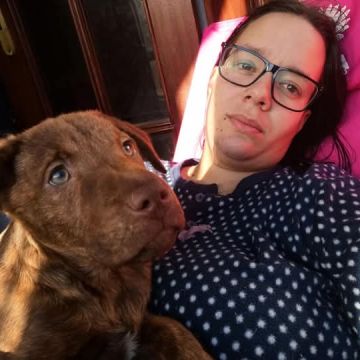Patricia Almeida - Castro Daire - Schrank umbauen