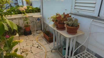 Serviço de Jardinagem