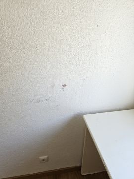 Pintura de Interiores
