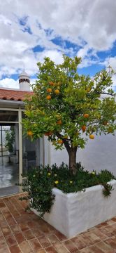 Jardinagem