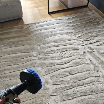 CELESTE  MCRSERVICECLEAN - Gondomar - Nettoyage de propriété