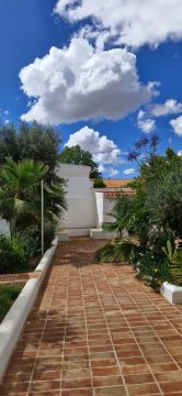 Serviço de Jardinagem