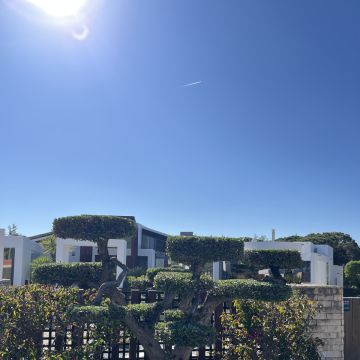 I&J Garden Service - Loulé - Jardinagem e Relvados