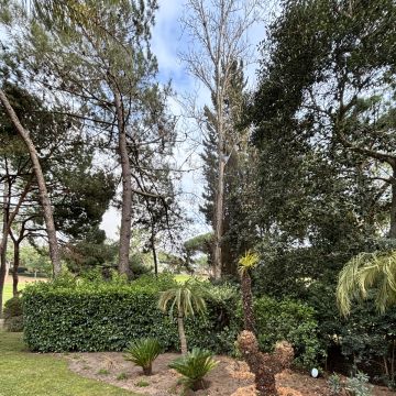 I&J Garden Service - Loulé - Corte e Aparação de Relvado