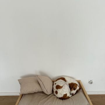 4patas - Vila Nova de Gaia - Garde et promenade d’animaux