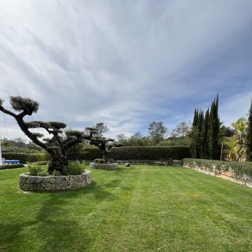 I&J Garden Service - Loulé - Paisagismo