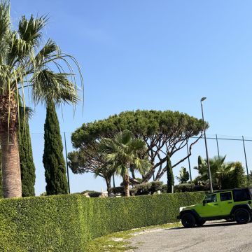 I&J Garden Service - Loulé - Tratamento de Relvado