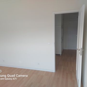 Construções y Remodelações L e F Silva - Felgueiras - Poda e Manutenção de Árvores