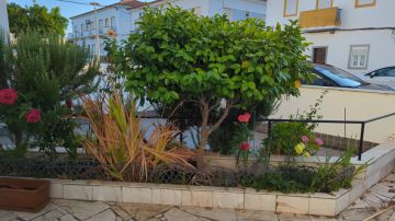 Jardinagem e Relvados