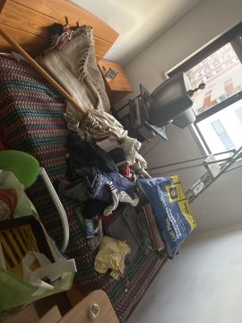 Especialista em Remoção de Lixo e Entulho