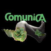 Maria Comunica - Moita - Marketing en redes sociales