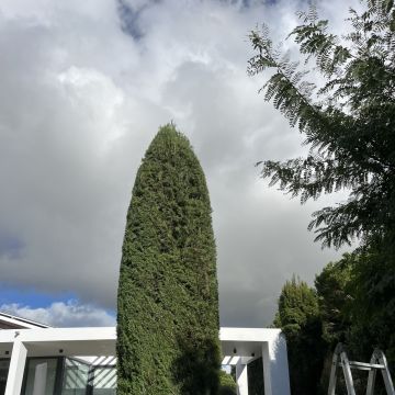 I&J Garden Service - Loulé - Limpa-neves (Residencial)