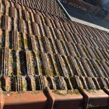 Rope Clean Solutions - Porto - Pintura