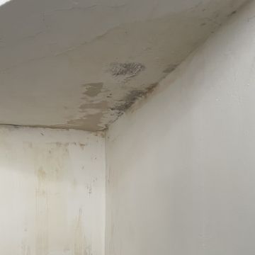 Carlos - Coimbra - Pintura