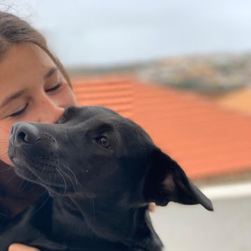 Mariana Costa - Cascais - Pet Sitting e Pet Walking