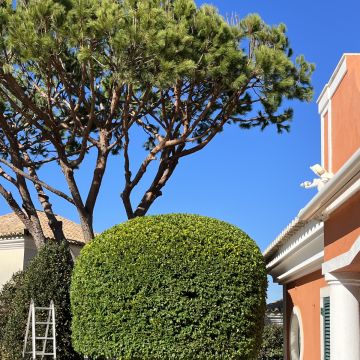 I&J Garden Service - Loulé - Instalação de Sistema de Rega Gota a Gota