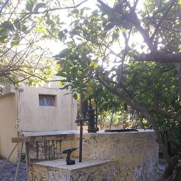 Sergio salsa - Cascais - Toilettenreparatur