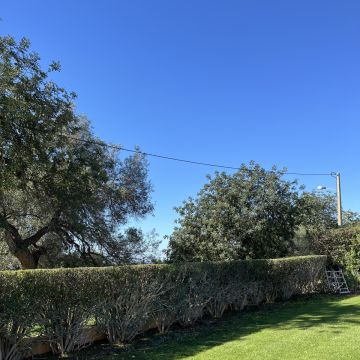 I&J Garden Service - Loulé - Nivelação de Terreno - Grande Dimensão (mais de 1 hectar)
