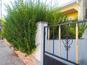 Poda e Manutenção de Árvores - Jardinagem e Relvados