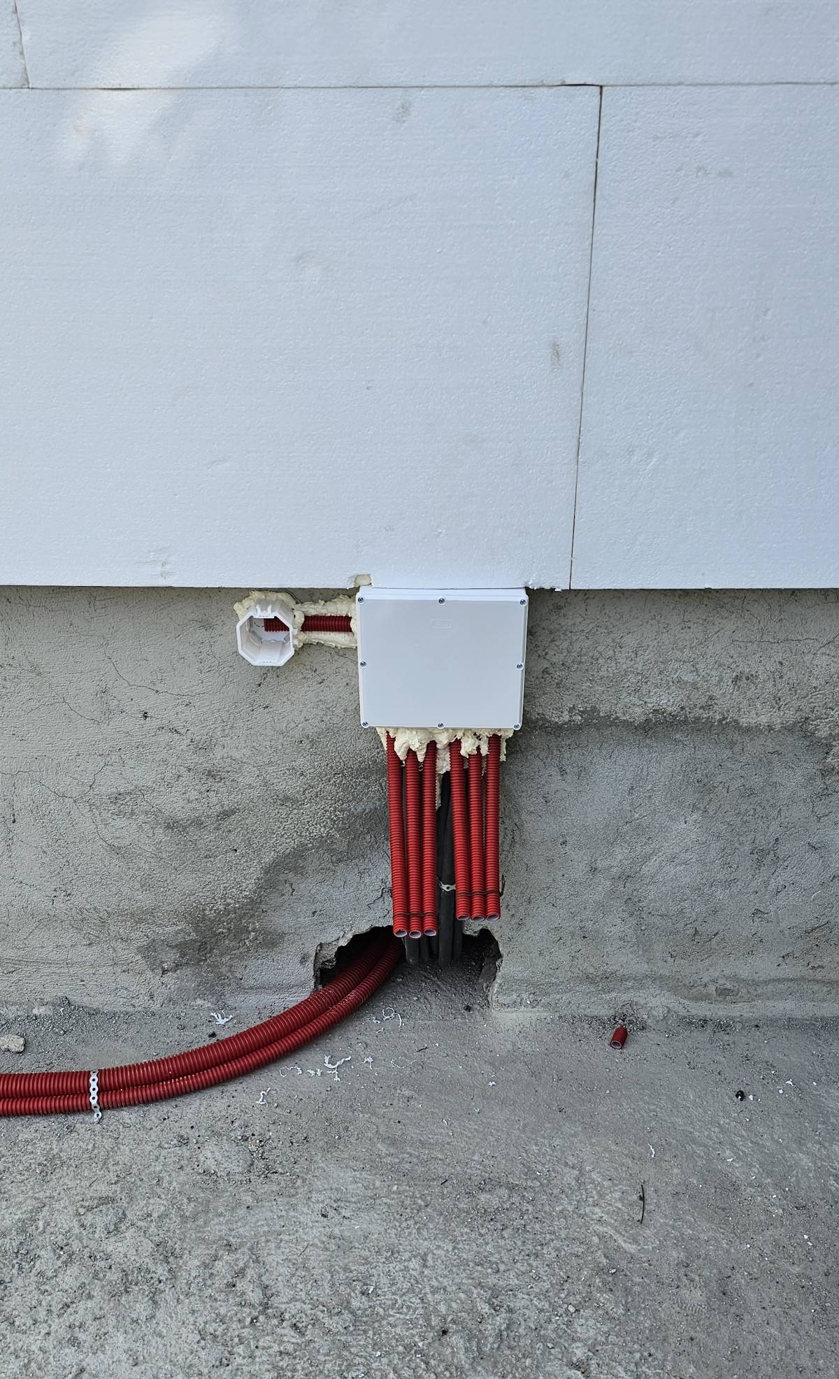 Rui Francisco - Torres Vedras - Electrical