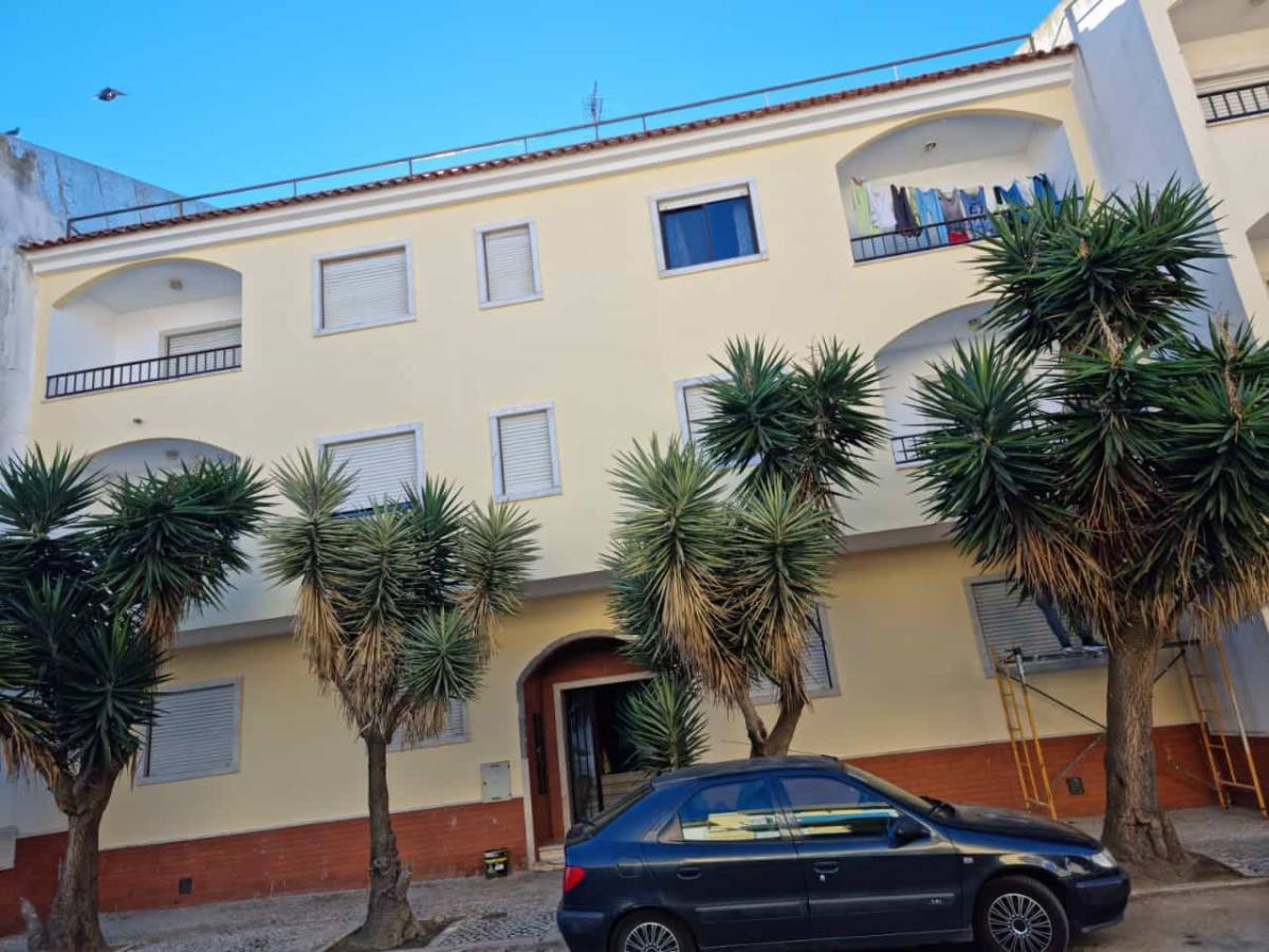 Raça vertical - Vila Franca de Xira - Entretien et réparation de terrasse