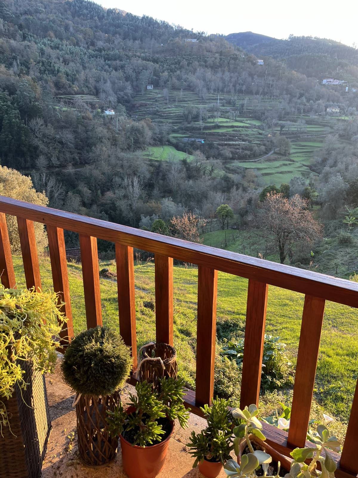 Serviços da Serra - Terras de Bouro - Servicios de invernadero