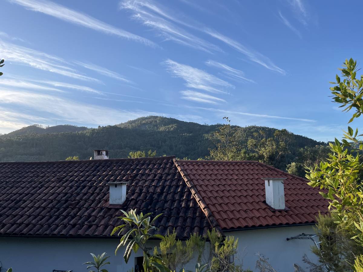 Serviços da Serra - Terras de Bouro - Poda y mantenimiento de árboles