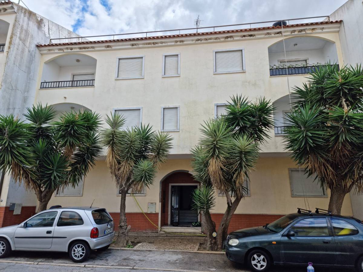 Raça vertical - Vila Franca de Xira - Nettoyage de toiture
