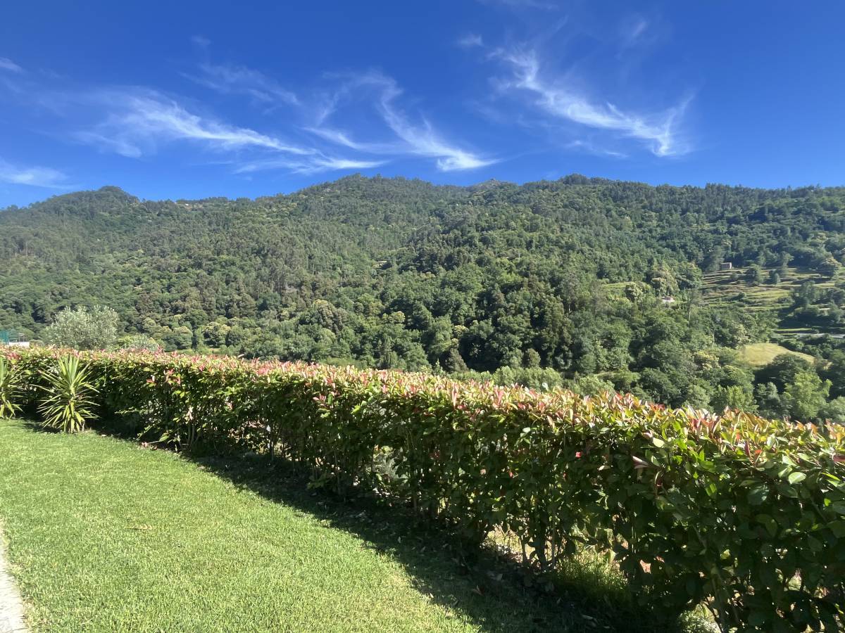 Serviços da Serra - Terras de Bouro - Tejados
