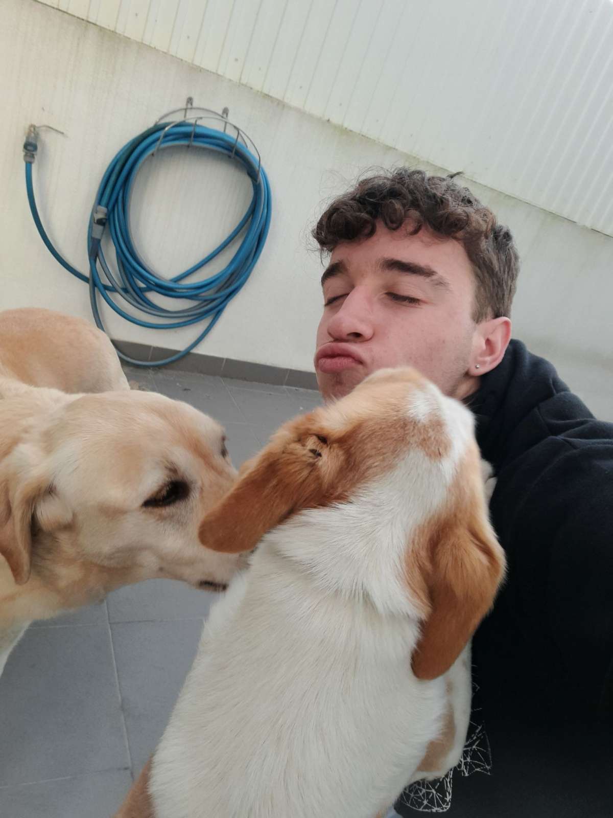 Miguel Martins - Seixal - Hotel de Animais de Estimação