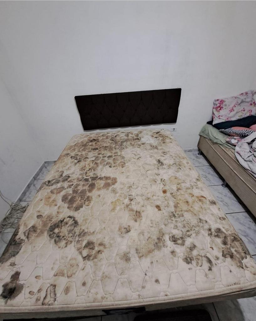 + Clean Limpeza e Higienização Profissional de Estofos - Marinha Grande - House Cleaning (Recurring)