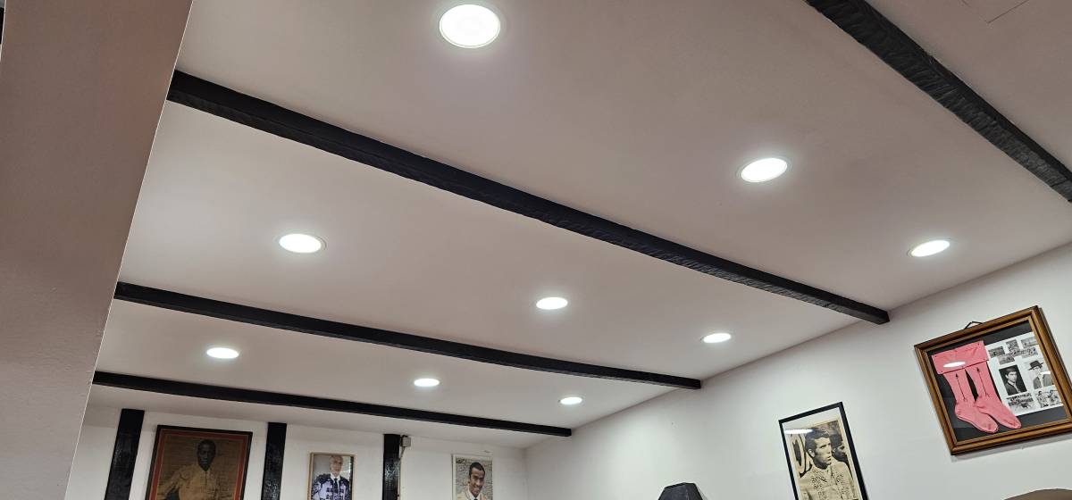 Rui Francisco - Torres Vedras - Switch and Outlet Installation