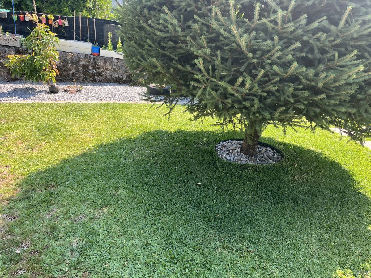 Serviços da Serra - Terras de Bouro - Pintura de exteriores