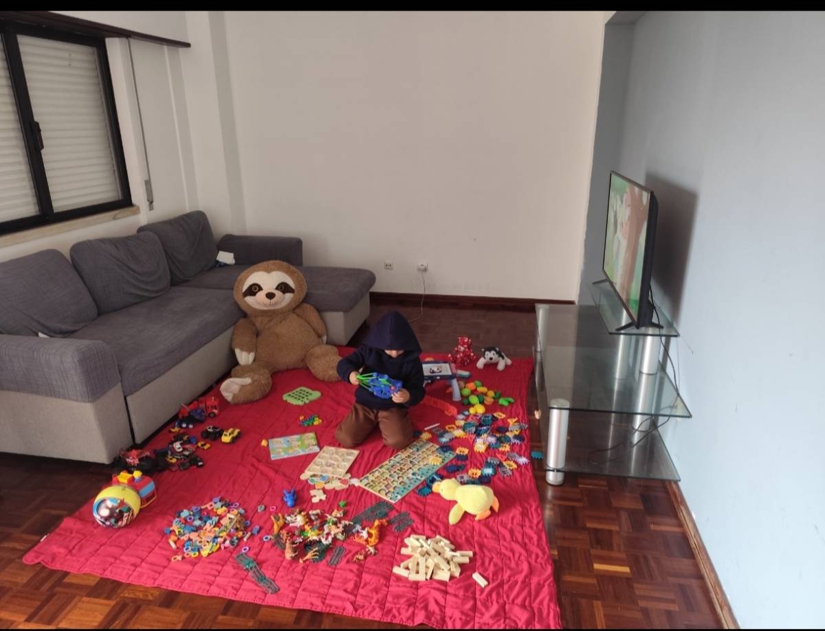 Elham magdi - Abrantes - Babysitting