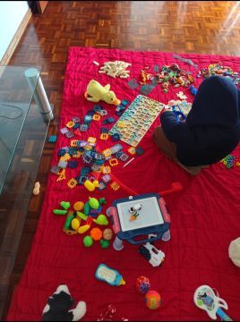 Elham magdi - Abrantes - Babysitting