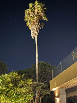 Serviço de Jardinagem