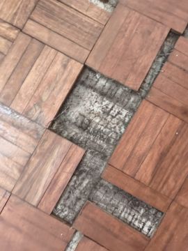 Técnico de Pisos em Madeira