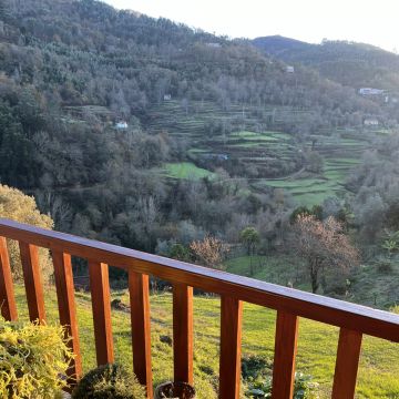 Serviços da Serra - Terras de Bouro - Servicios de invernadero