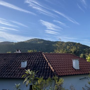 Serviços da Serra - Terras de Bouro - Poda y mantenimiento de árboles