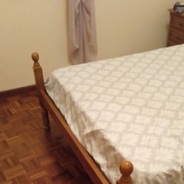 Tiago Vaz - Anadia - Servicios de invernadero