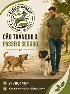 EducaPatas - Setúbal - Dog Training - Private Lessons