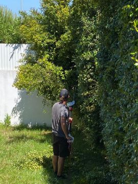 Molinas Construções - Oeiras - Remoção de Tronco de Árvore