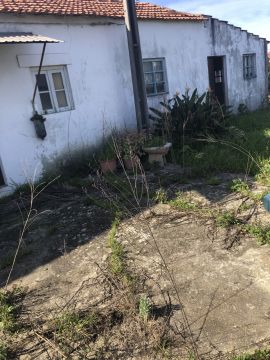 Betão / Cimento / Asfalto
